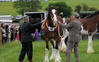 A past Great Harwood Show