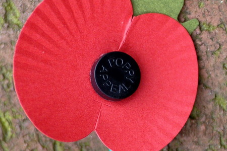 Details for all the Rossendale Remembrance events next month - Vimarsana News