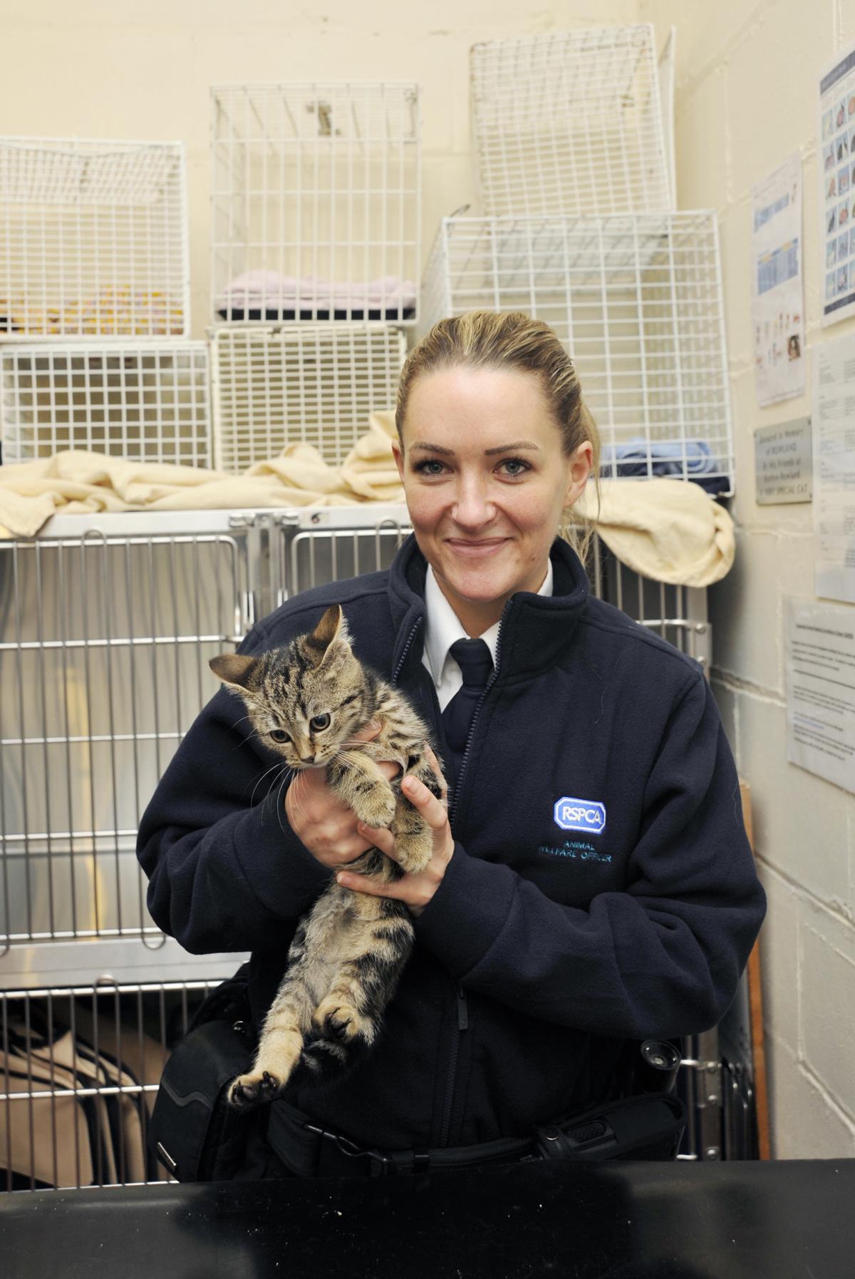 A day in the life of an RSPCA worker | Lancashire Telegraph