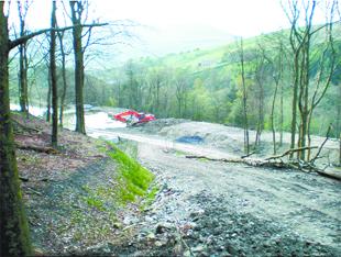 Fears as developer takes down trees in Pendle village 